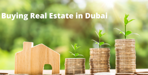Real Estate in Dubai Real Estate in Dubai